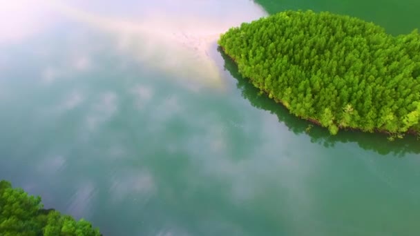 Mangrovové Lesní Život Nebe — Stock video