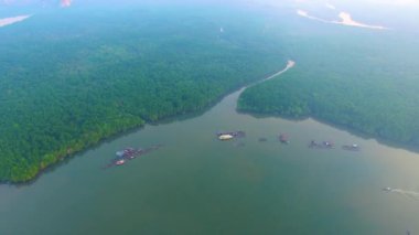 Mangrove Ormanı Gökyüzü