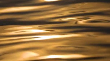 Mangrove Ormanı dağ gökyüzü