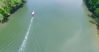 Mangrovlar kuş bakışı hava manzaralı vahşi doğa ve doğal