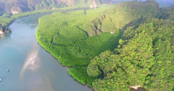 マングローブバード ビュー空中の荒野と自然 — ストック動画