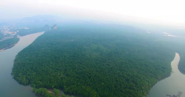 红树林鸟瞰空中荒野与自然 — 图库视频影像
