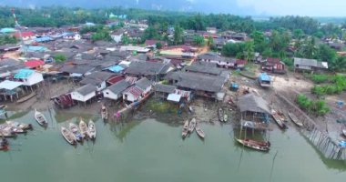 Mangrovlar kuş bakışı hava manzaralı vahşi doğa ve doğal