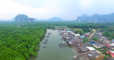 Mangrovlar kuş bakışı hava manzaralı vahşi doğa ve doğal