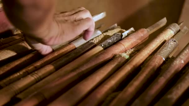 Die Handwerkliche Herstellung Von Holzobjekten — Stockvideo