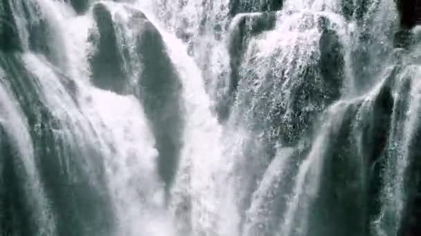 Cascata Nella Foresta — Video Stock