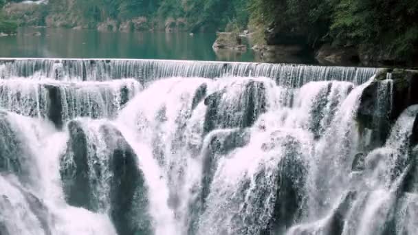 Cascata Nella Foresta — Video Stock