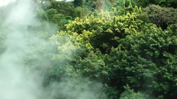 Eau Qui Coule Dans Brouillard — Video