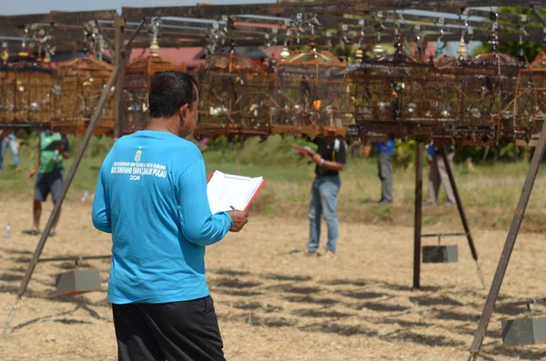 Pesta Angin Timur Perlis (Perlis Doğu Rüzgar Karnavalı)