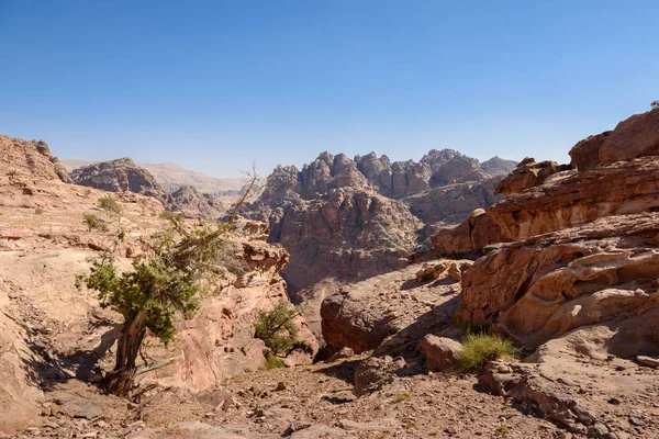 Paisaje salvaje de montañas rocosas en Petra, Jordania —  Fotos de Stock