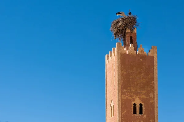 Een ooievaar in het nest op de bovenkant van een minaret — Stockfoto