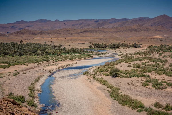 Oásis no sul de Marrocos — Fotografia de Stock