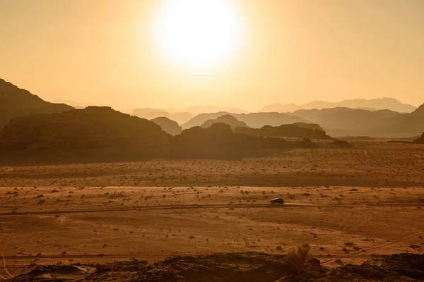 Carro correndo no deserto — Fotografia de Stock