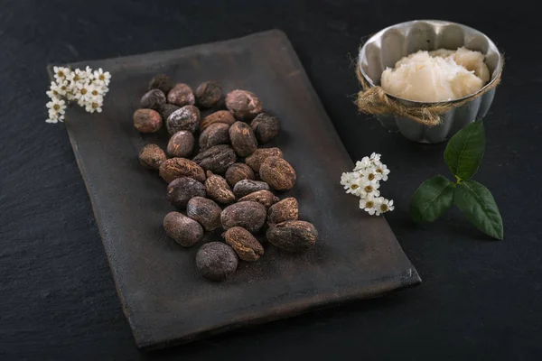 Shea butter and shea nuts — Stock Photo, Image