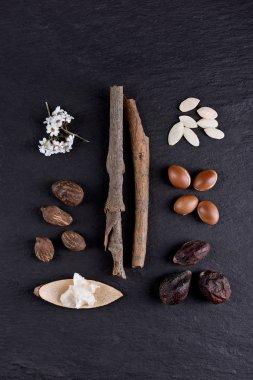 Shea yağı ve fındık, argan meyve ve tohum kompozisyonu
