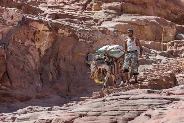 Un hombre no identificado lleva un burro en un camino rocoso, Petra —  Fotos de Stock