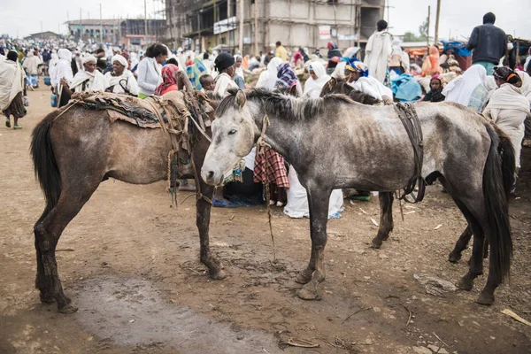 Crowded weekly markent in a village, Etiopia — Stock Photo, Image