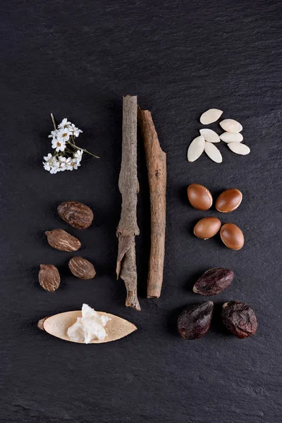 Composition du beurre de karité et des fruits à coque, de l'argan et des graines — Photo