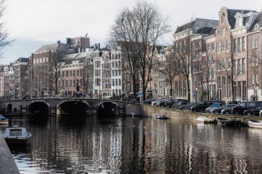 Amsterdam kanalları kışın