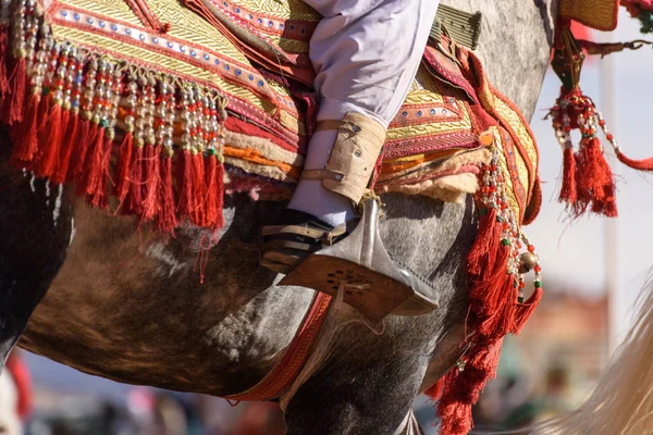 Detail postroj koně v Maroku — Stock fotografie