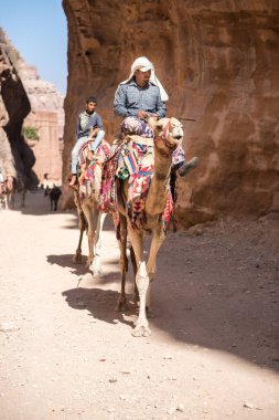 Erkek deve, Petra, Ürdün Arkeolojik Sit içinde sürme