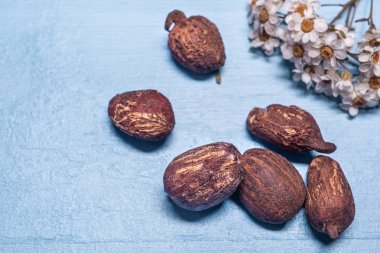 Shea yağı fındık ve çiçek mavi ahşap üzerine