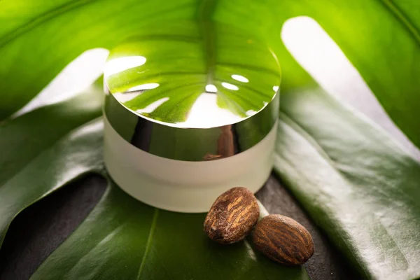 Sheabutter-Nüsse mit einem Glas Sahne — Stockfoto