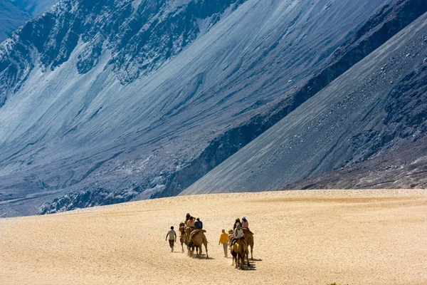 Viagem nas dunas de areia de Nubra Valley, Ladakh — Fotografia de Stock
