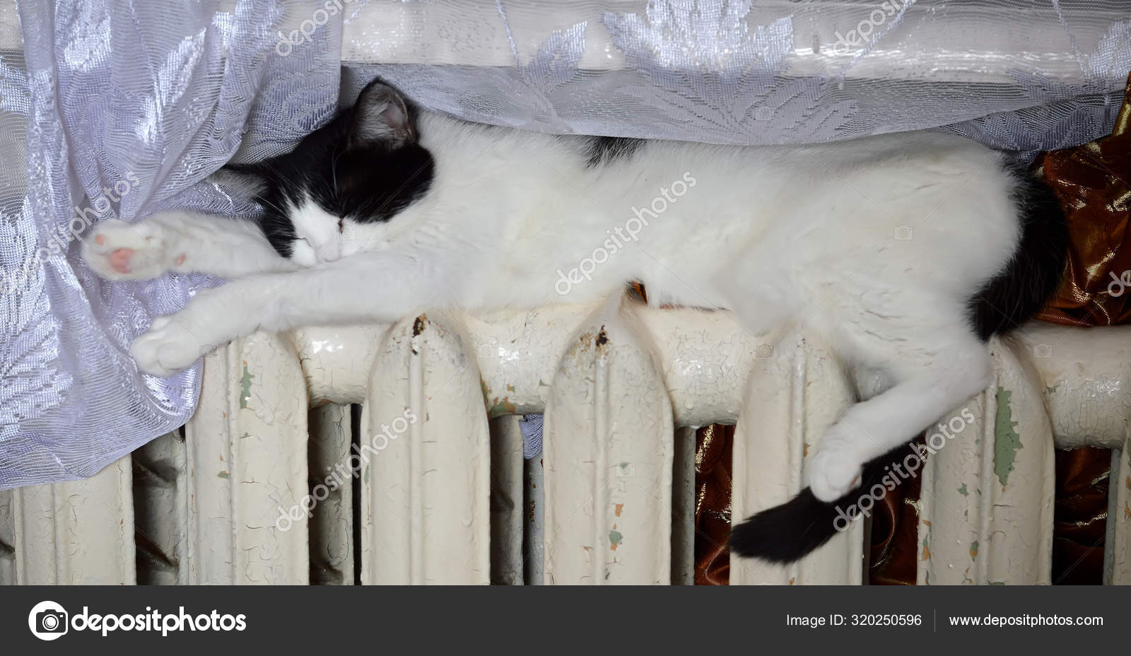Hiver Froid Chat Prelasse Sur Batterie Image Libre De Droit Par Perova Ev C Hiver Froid Chat Prelasse Sur Batterie Image Libre De Droit Par Perova Ev C