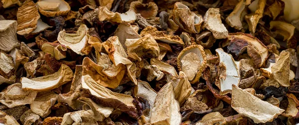 Kurutulmuş domuz mantarı. Beslenme. Doğal arka plan. seçici odak