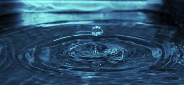 Yaşayan bir damla sudan. Doğal arkaplan.