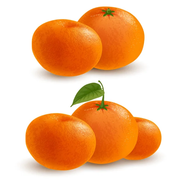 Olgun Mandarin veya mandalina — Stok Vektör