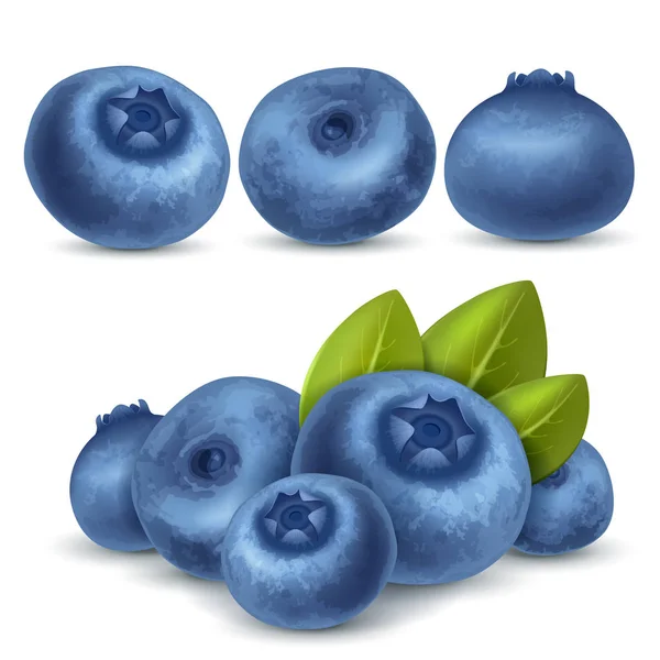 Ripe blueberry set — Stock Vector
