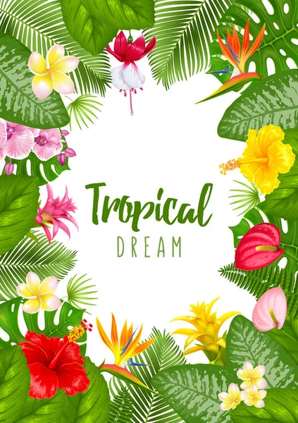 Summer tropical frame design — Stock Vector