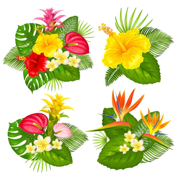 Ensemble bouquet tropical — Image vectorielle