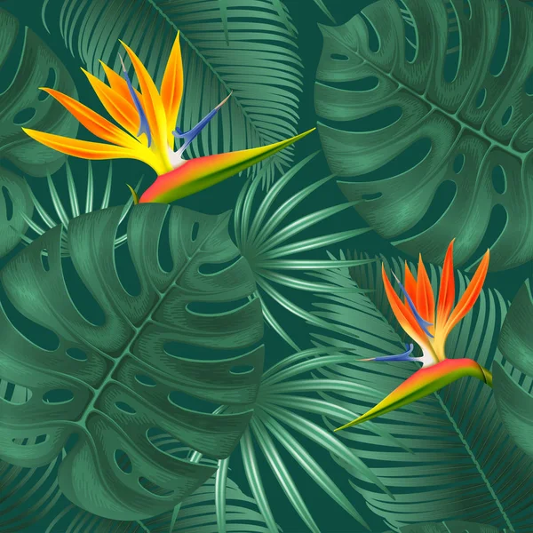 Conception de cadre tropical été — Image vectorielle