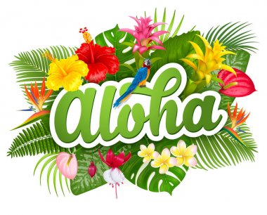 Aloha Hawaii yazı ve tropikal bitki