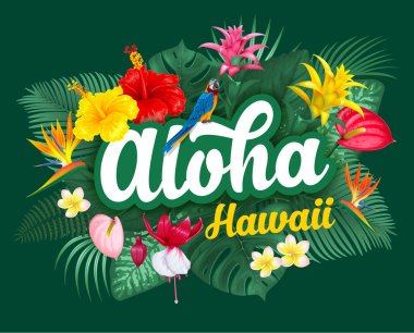 Aloha Hawaii yazı ve tropikal bitki