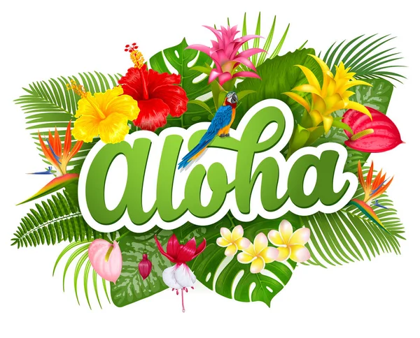 Letras Aloha Hawaii e plantas tropicais — Vetor de Stock