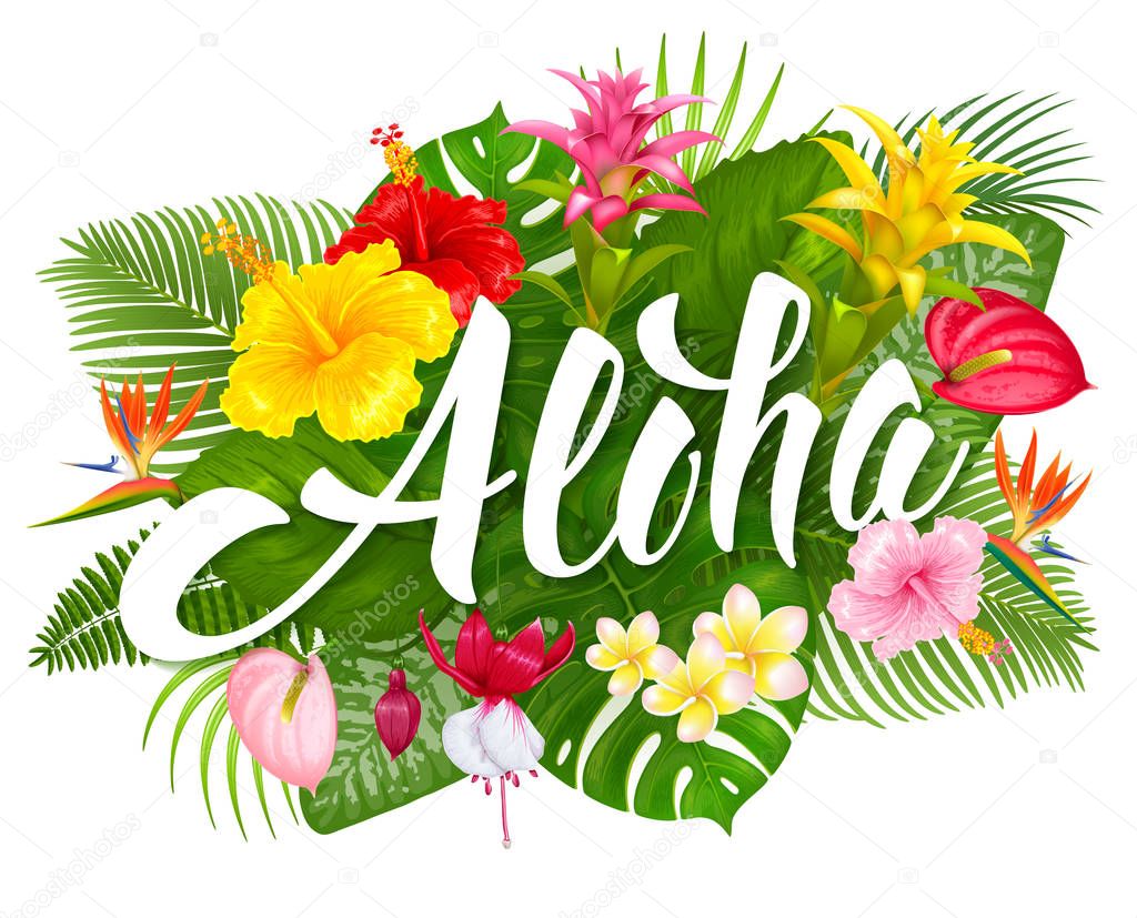 Aloha Free Video Aloha Free Video