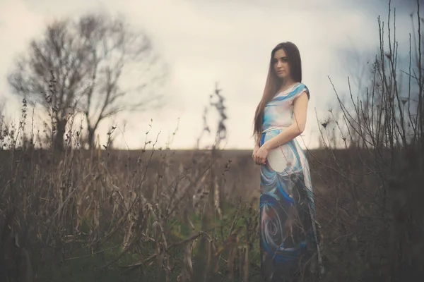 Retrato Una Hermosa Joven Con Vestido Largo Sobre Fondo Árboles — Foto de Stock