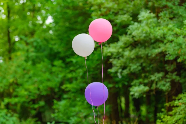 Balloons on the background of green trees. Balls on a string. Round balls of medium size multicolored