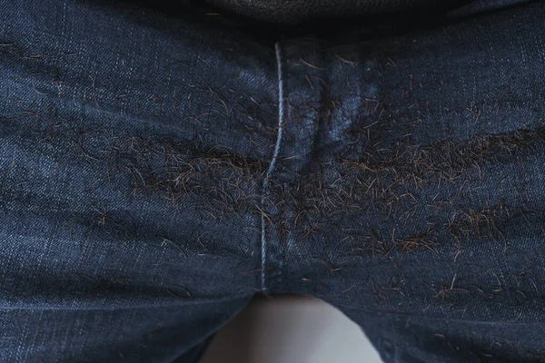 Geschoren Haar Een Blauwe Jeans Menselijk Geknipt Haar Met Een — Stockfoto