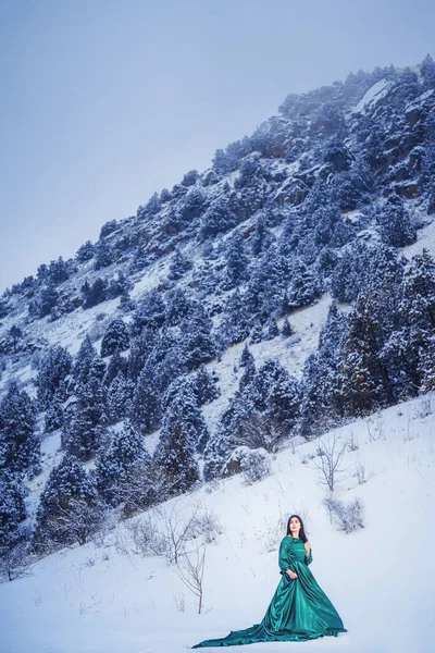 Una Chica Con Fabuloso Vestido Verde Largo Las Montañas Cubiertas —  Fotos de Stock