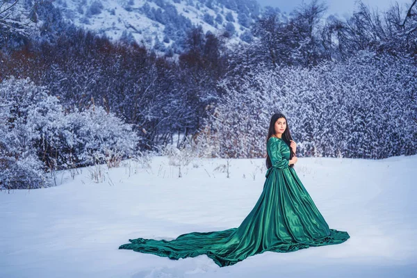 Una Chica Con Fabuloso Vestido Verde Largo Las Montañas Cubiertas —  Fotos de Stock