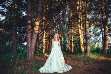 Çam ormanında gelinlik giymiş bir kız. Ormanda beyaz gece balosu elbisesi giymiş bir kadın. Yeşil ağaçların arka planına karşı uzun elbiseli gelin