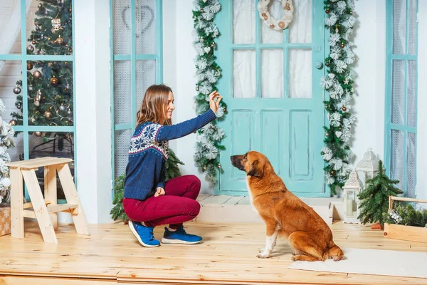 A girl with a red dog on the background of a Christmas porch decoration. A woman with a rescue dog. Man and dog hug together on Christmas day