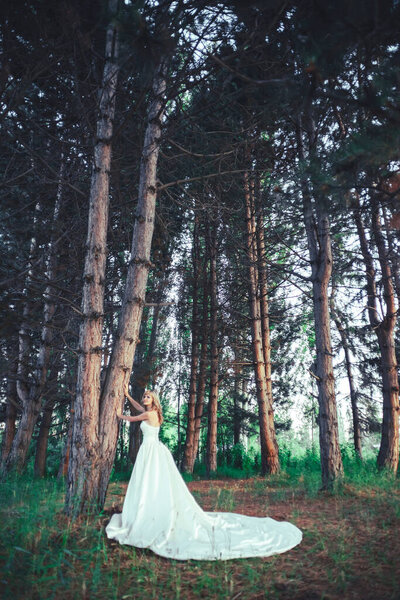 A girl in a wedding dress in a pine forest. A woman in a white evening ball gown in the woods. Bride in a long dress against the background of green trees