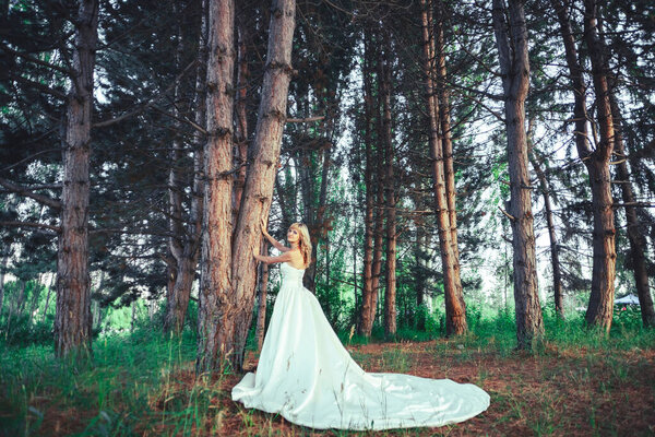 A girl in a wedding dress in a pine forest. A woman in a white evening ball gown in the woods. Bride in a long dress against the background of green trees