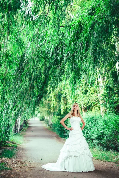 공원에서 드레스를 드레스를 있었습니다 나무를 배경으로 — 스톡 사진